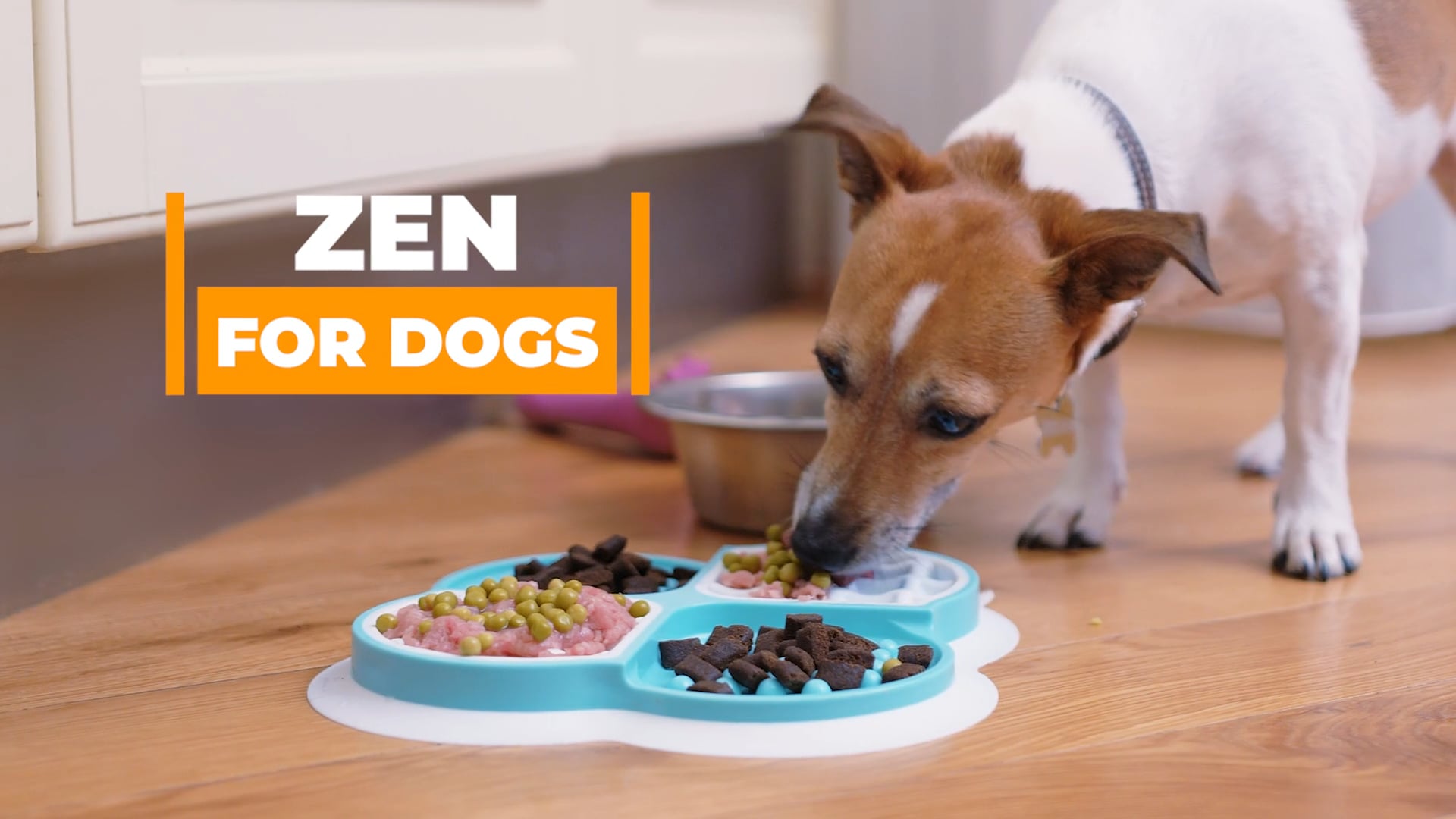dog eating mat amazon Product Video