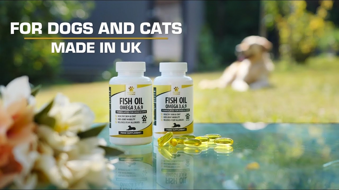 pet supplements product video