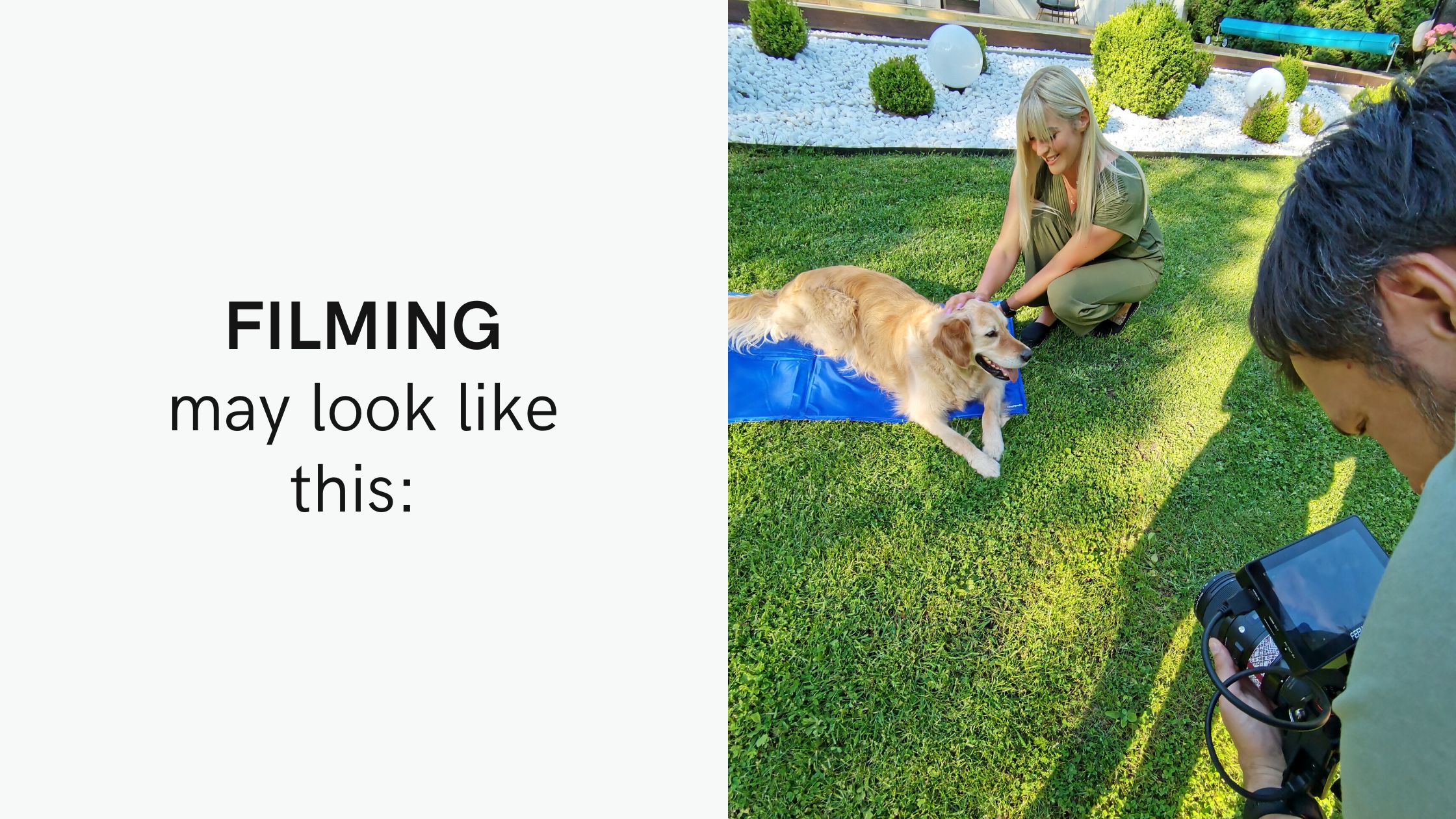 amazon-video-makers-filming-animals